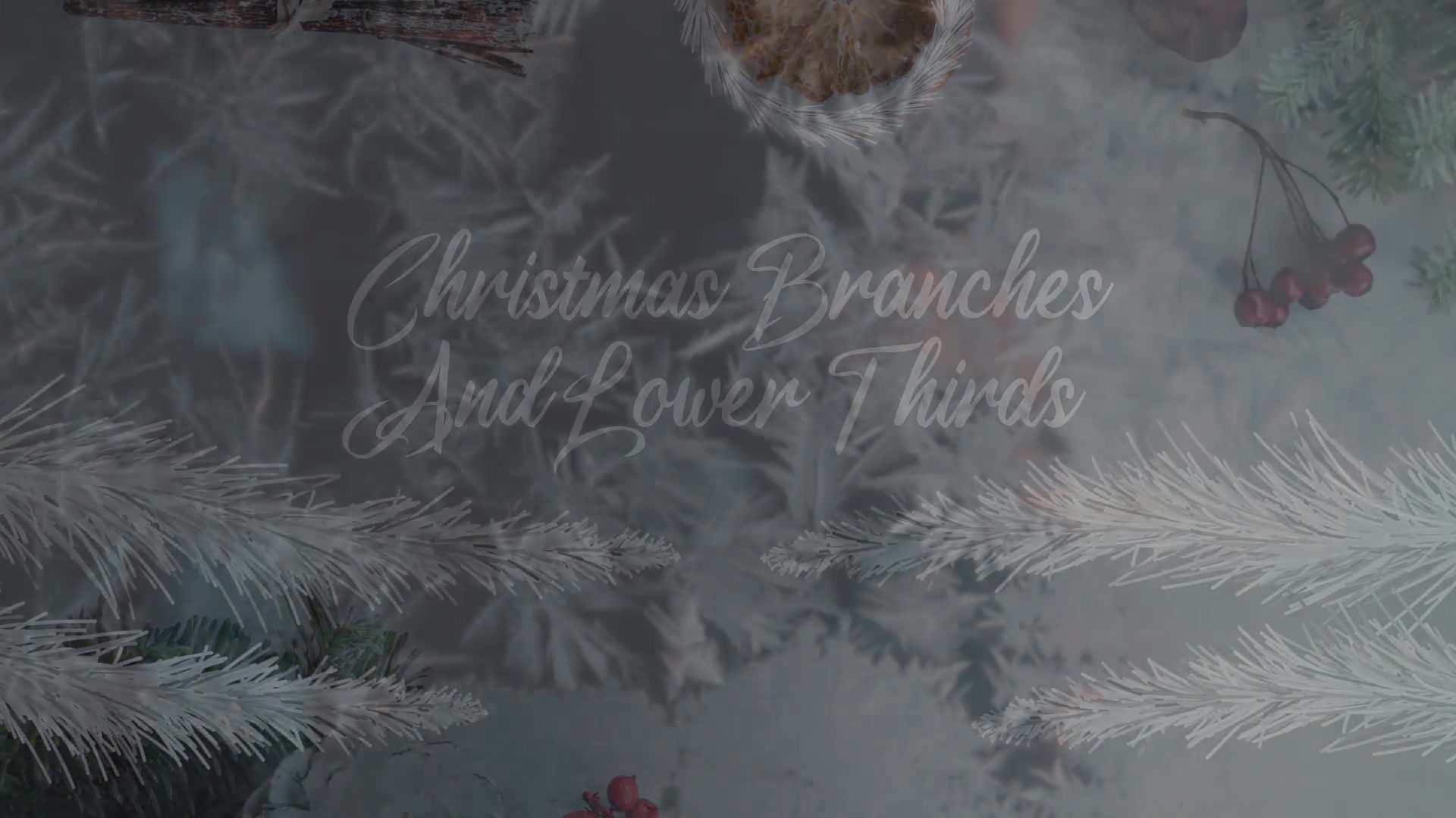 Christmas Branches And Lower Thirds for After Effects Videohive 42265253 After Effects Image 3