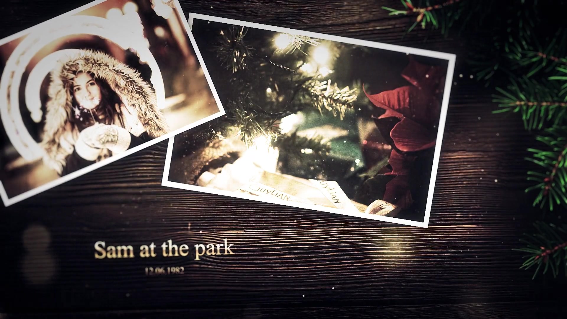 Christmas Family Elegant Slideshow Videohive 29661521 After Effects Image 5