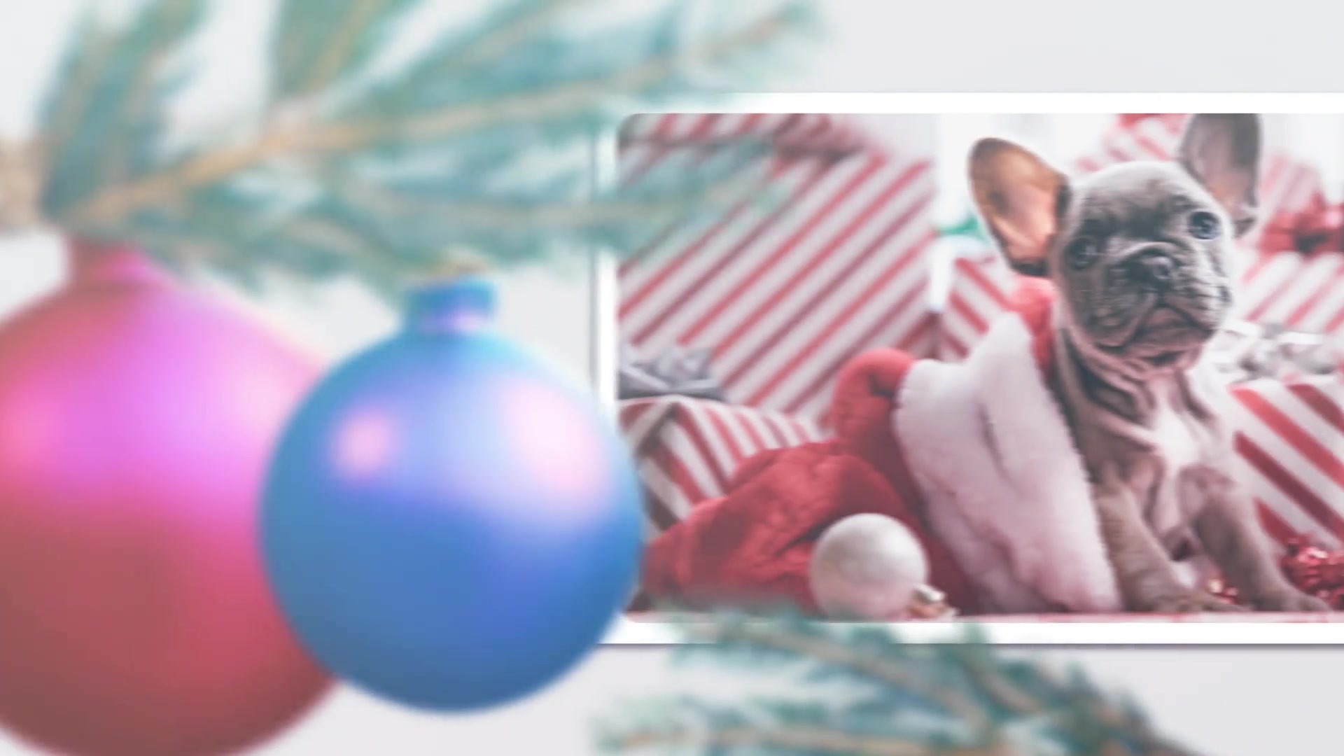 Christmas Holiday Slideshow Videohive 35210991 After Effects Image 4