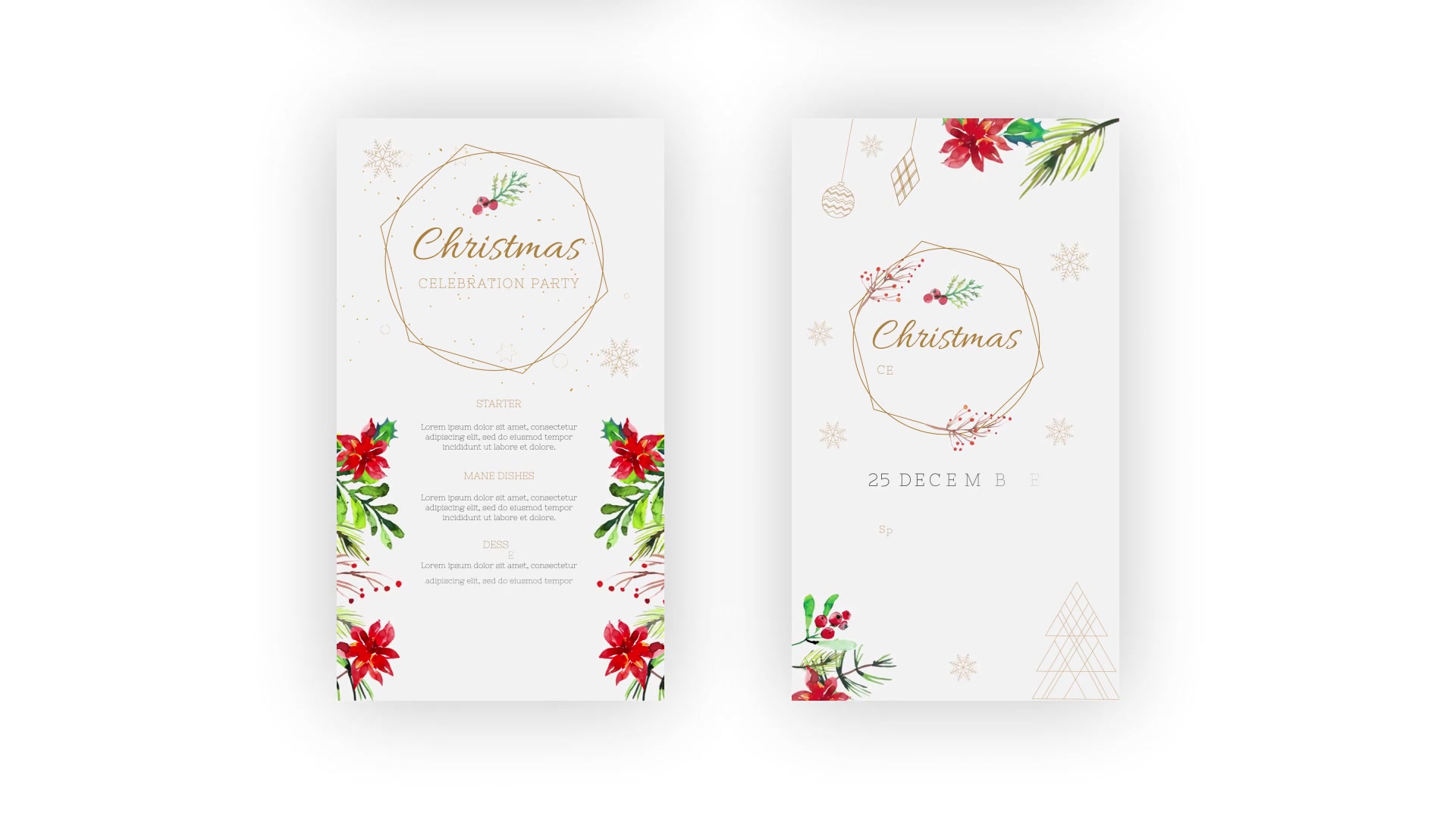 Christmas Instagram Stories Videohive 34766082 After Effects Image 5