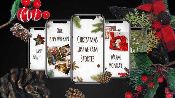 Christmas Instagram Stories - Download 29480659 Videohive