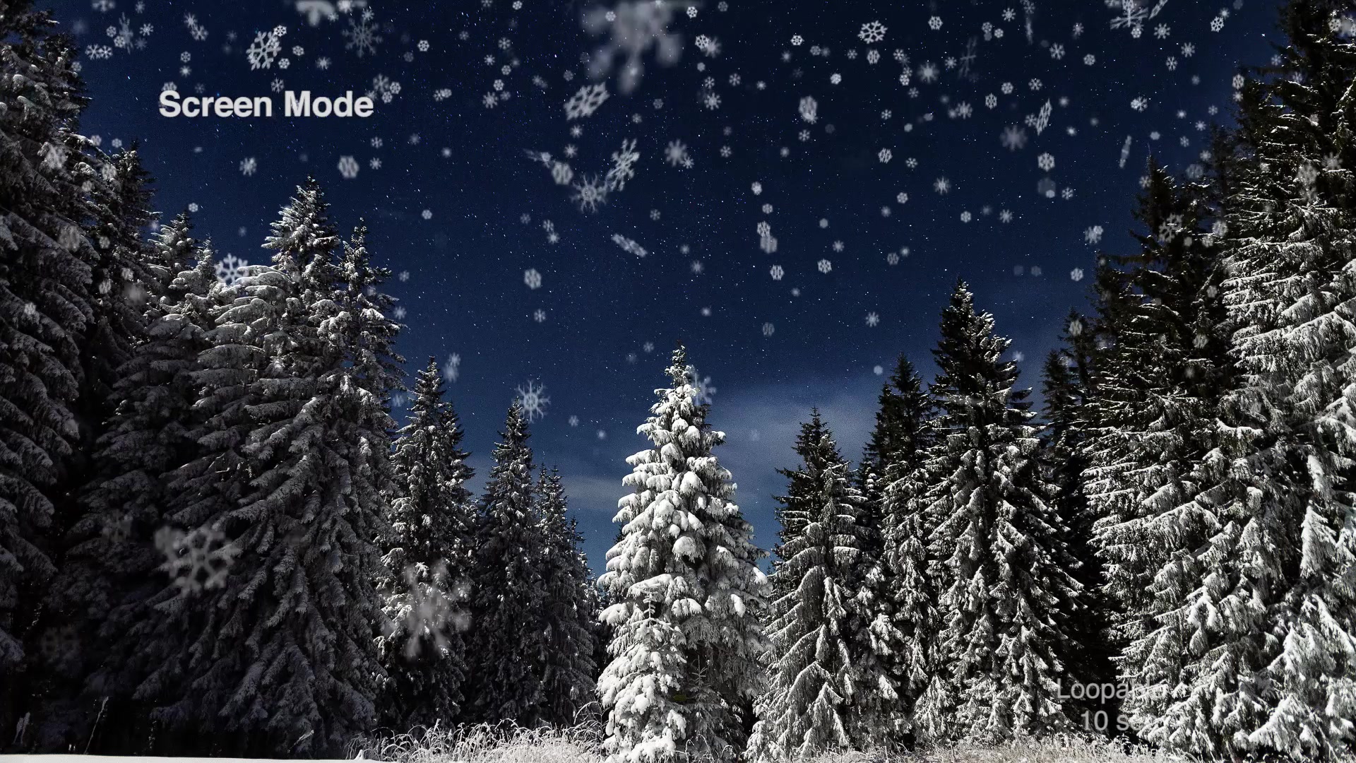 Christmas Must Have Kit // Merry Christmas Pack Videohive 19176789 After Effects Image 12