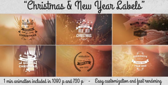Christmas & New Year Labels - Videohive 9560529 Download