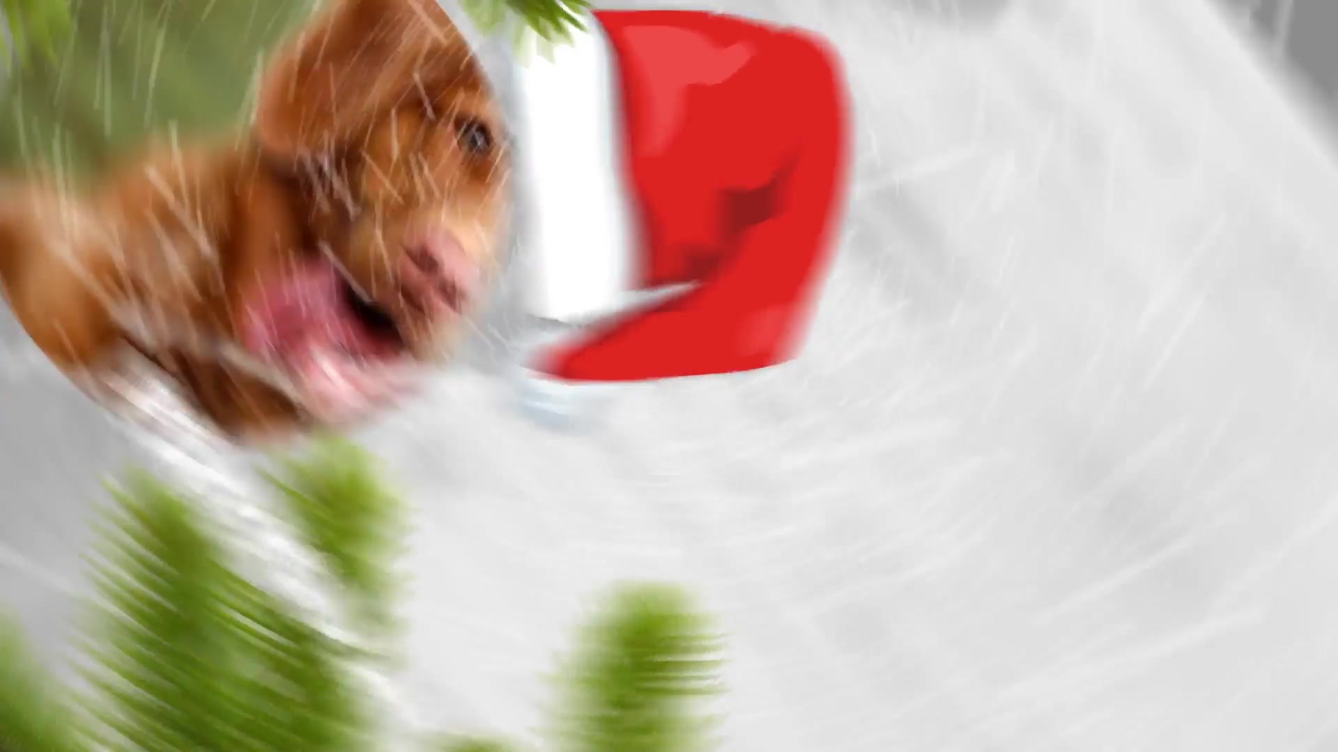 Christmas Opener Videohive 25290089 After Effects Image 4