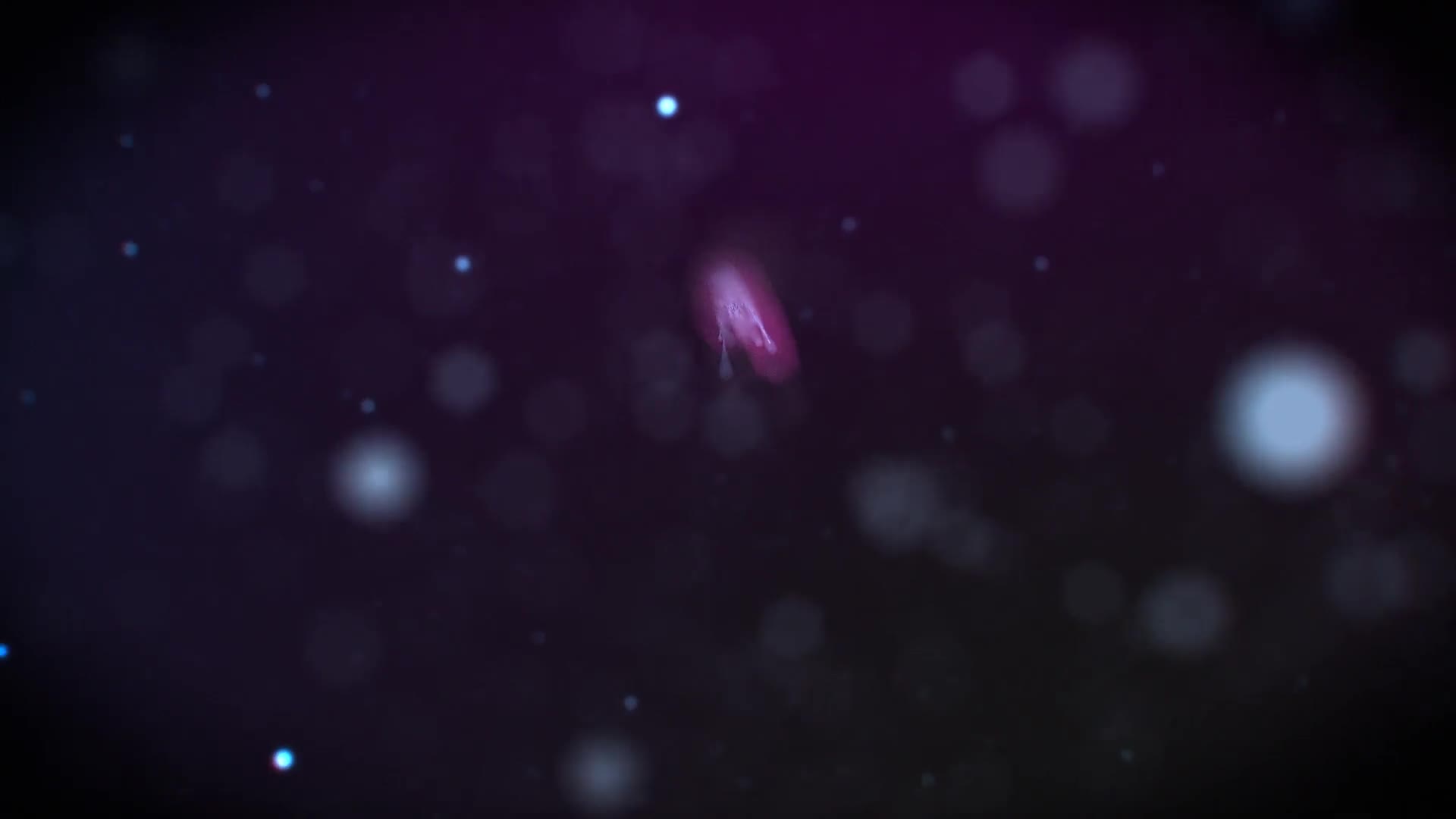 Christmas Particles Videohive 20989021 After Effects Image 1
