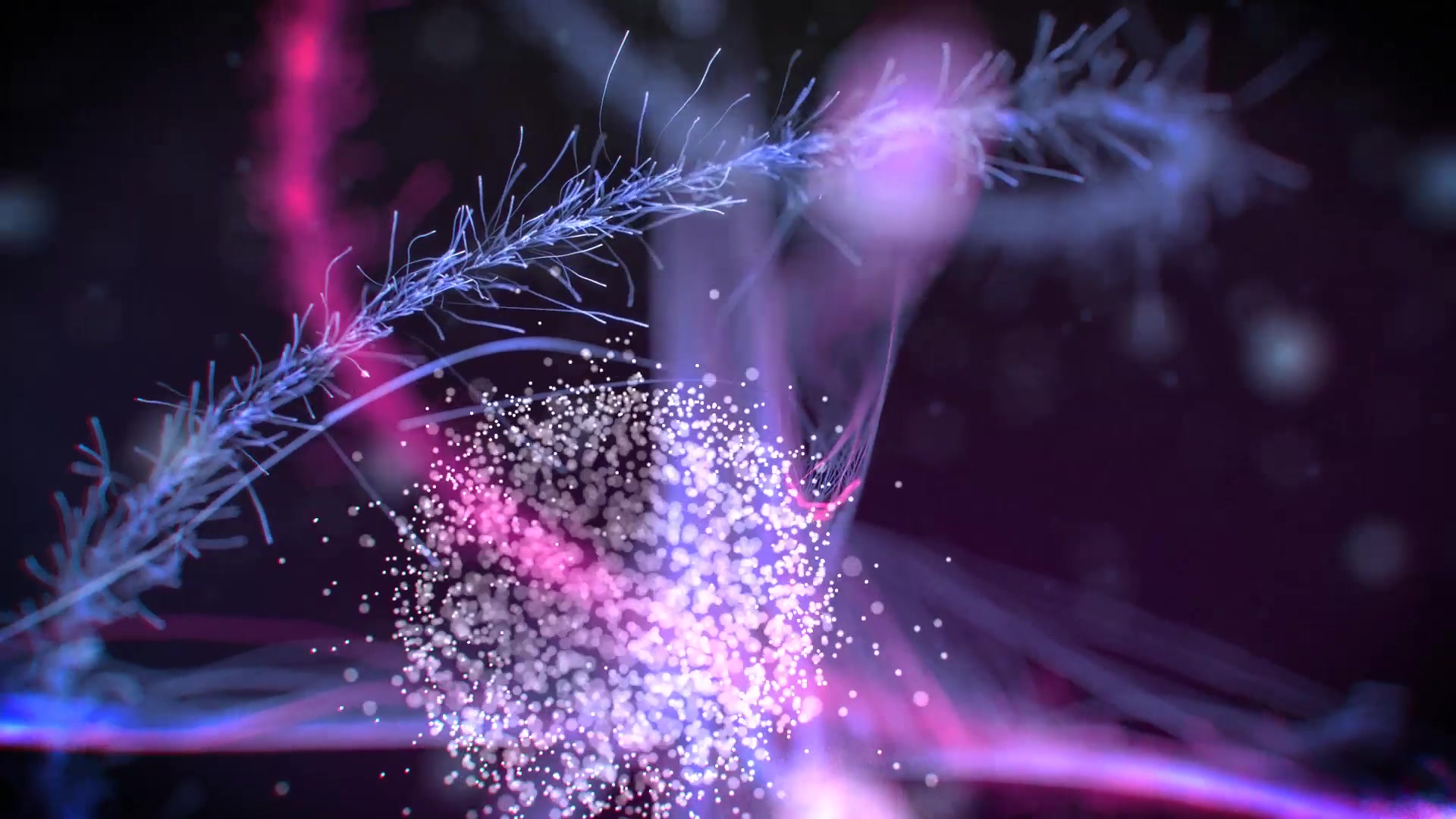 Christmas Particles Videohive 20989021 After Effects Image 5