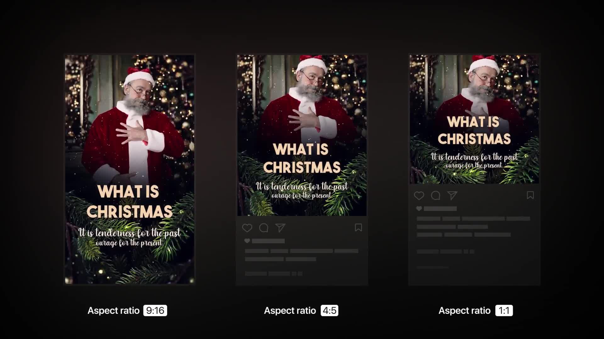 Christmas Slideshow Instagram Stories Videohive 35116368 After Effects Image 1