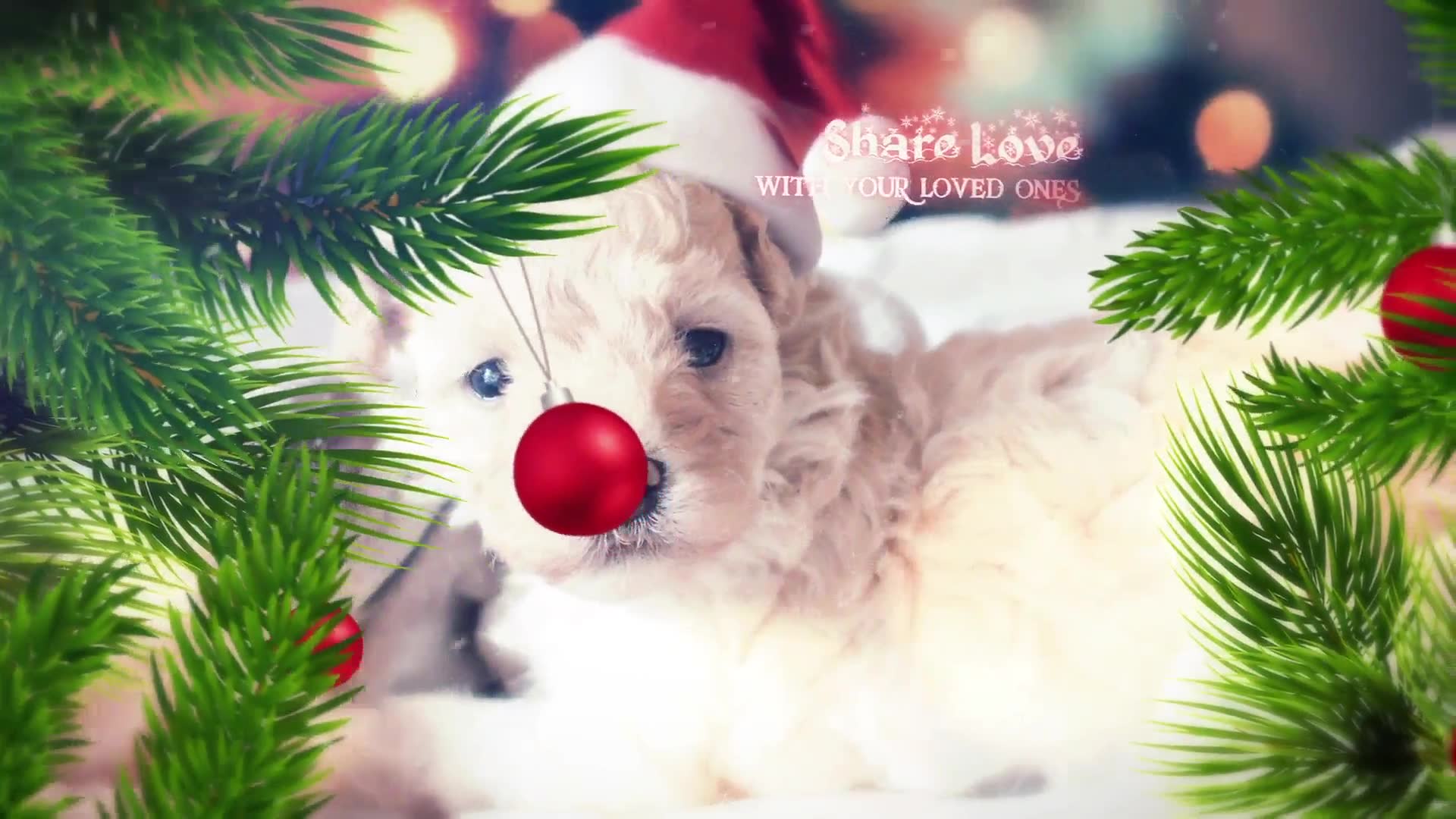 Christmas Slideshow Videohive 22832058 After Effects Image 3