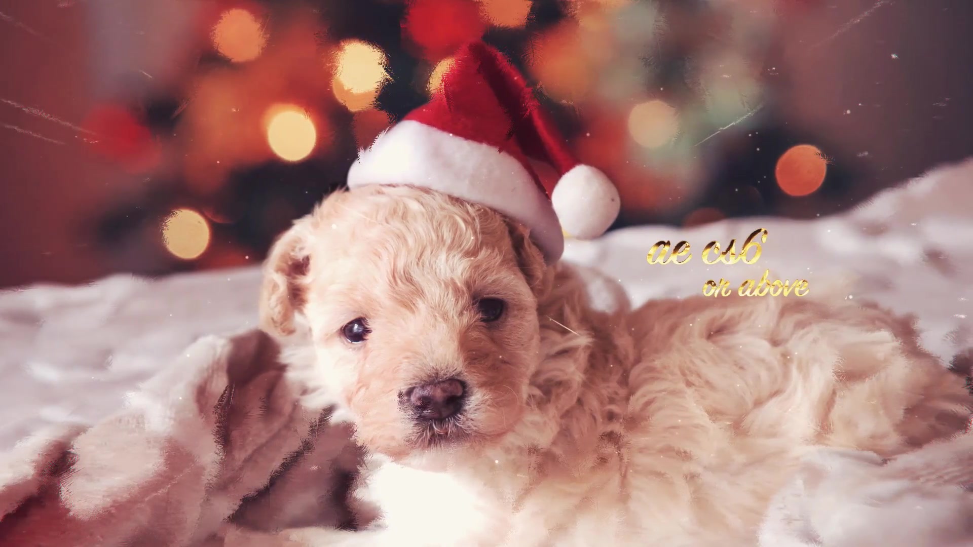 Christmas Slideshow Videohive 23007142 After Effects Image 6