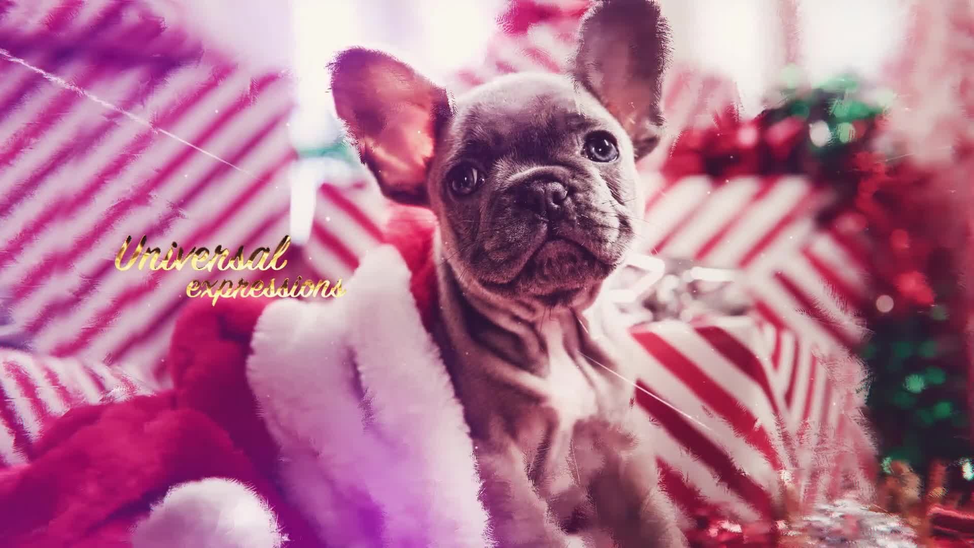 Christmas Slideshow Videohive 23007142 After Effects Image 9