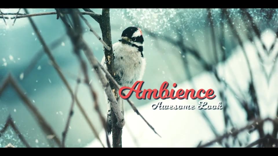 Christmas Slideshow / Winter Opener - Download Videohive 19101218