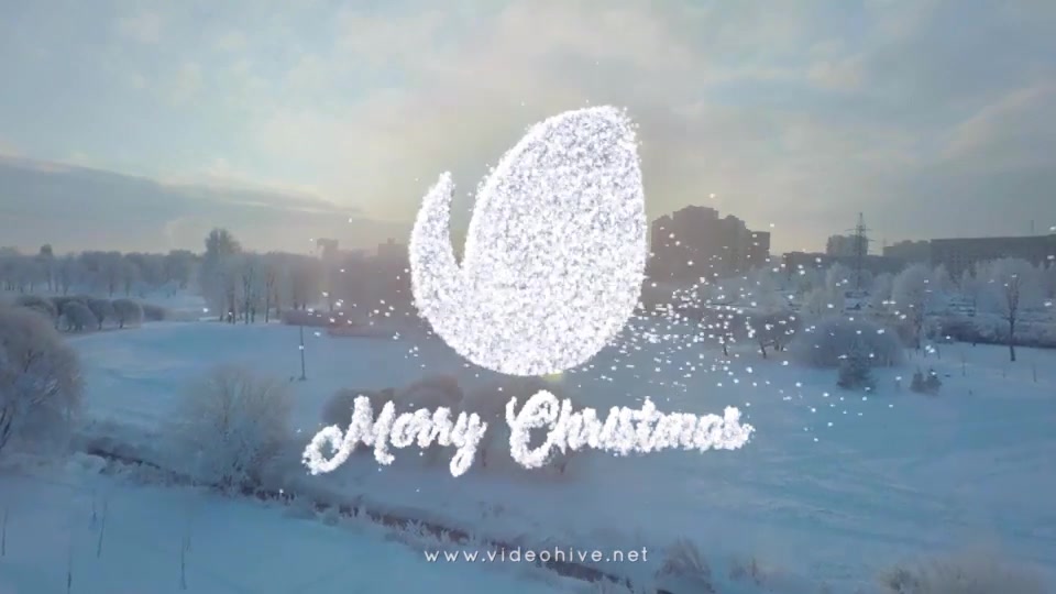 Christmas Snowflakes Logo Videohive 25023582 After Effects Image 9