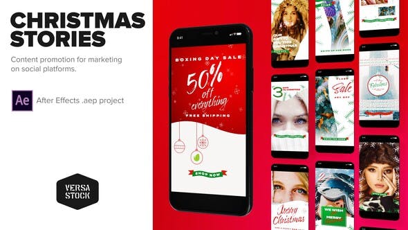 Christmas Social Marketing - Download Videohive 25103686