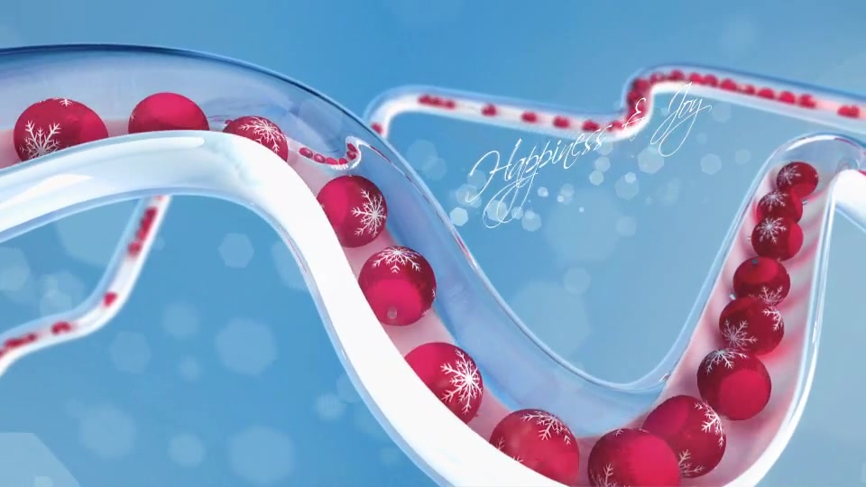 Christmas Special - Download Videohive 13868445