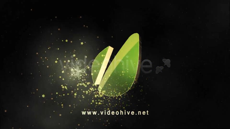 Christmas Star Logo - Download Videohive 3394618