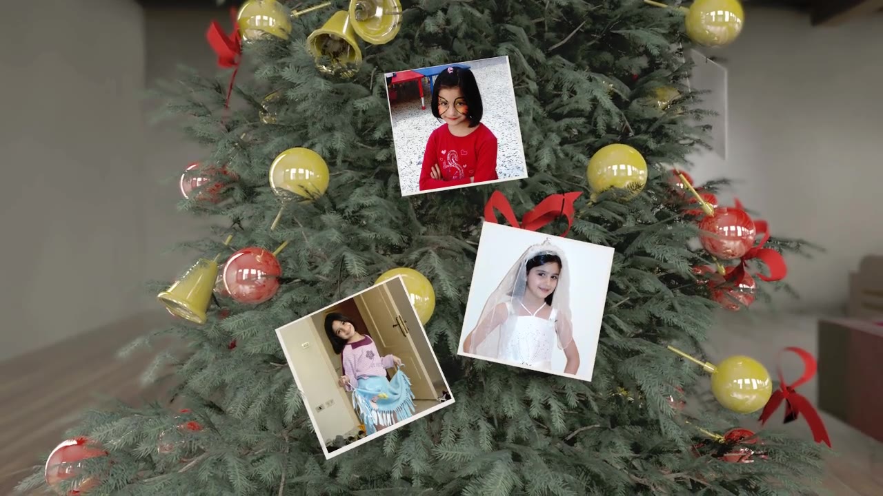 Christmas Tree - Download Videohive 6341620