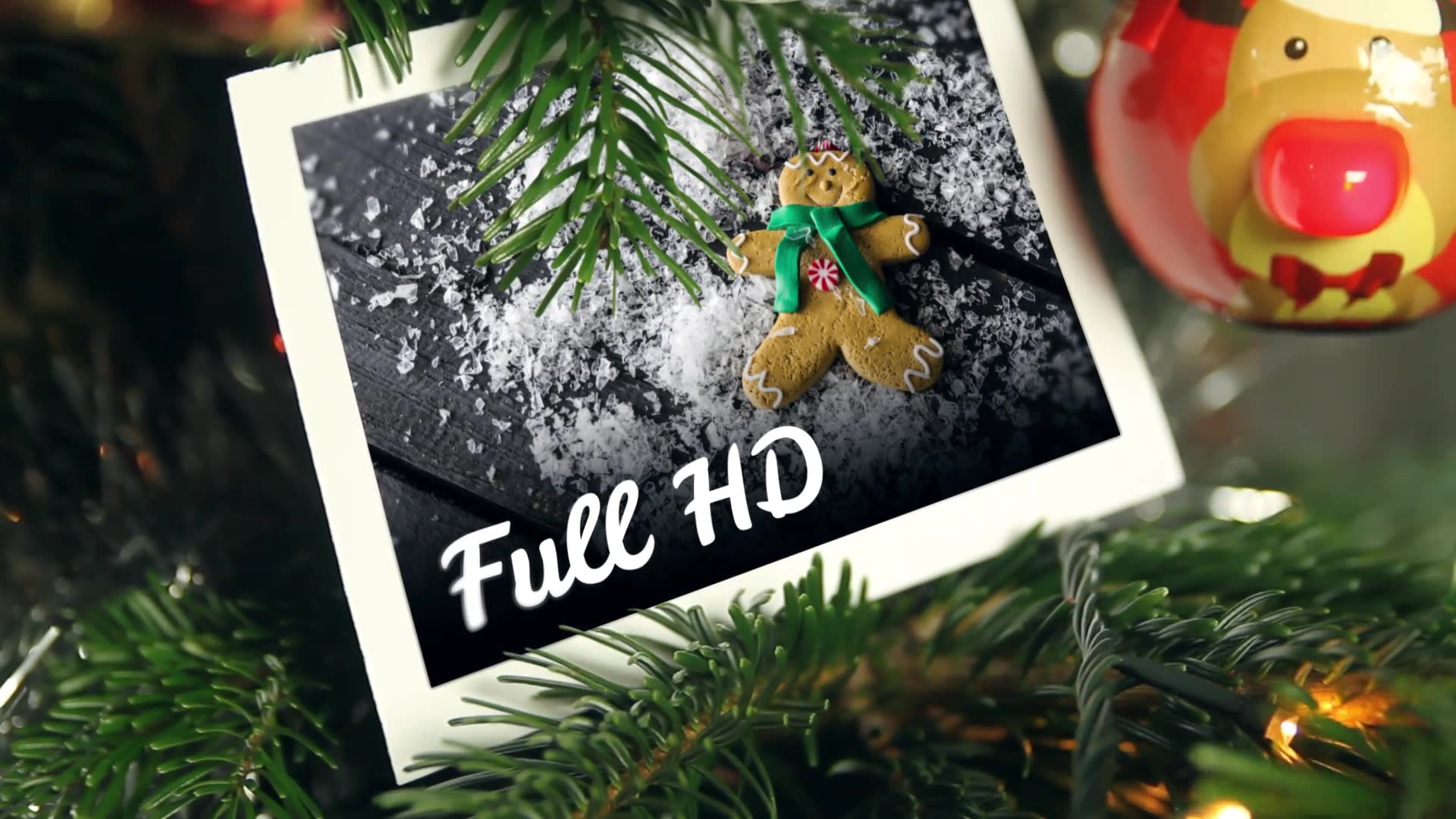Christmas Tree Placeholders Videohive 23019039 After Effects Image 3