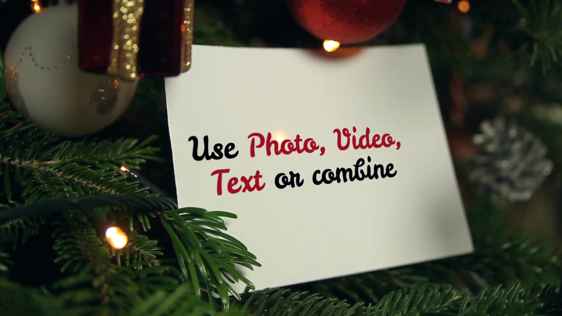 Christmas Tree Placeholders Videohive 23019039 After Effects Image 5