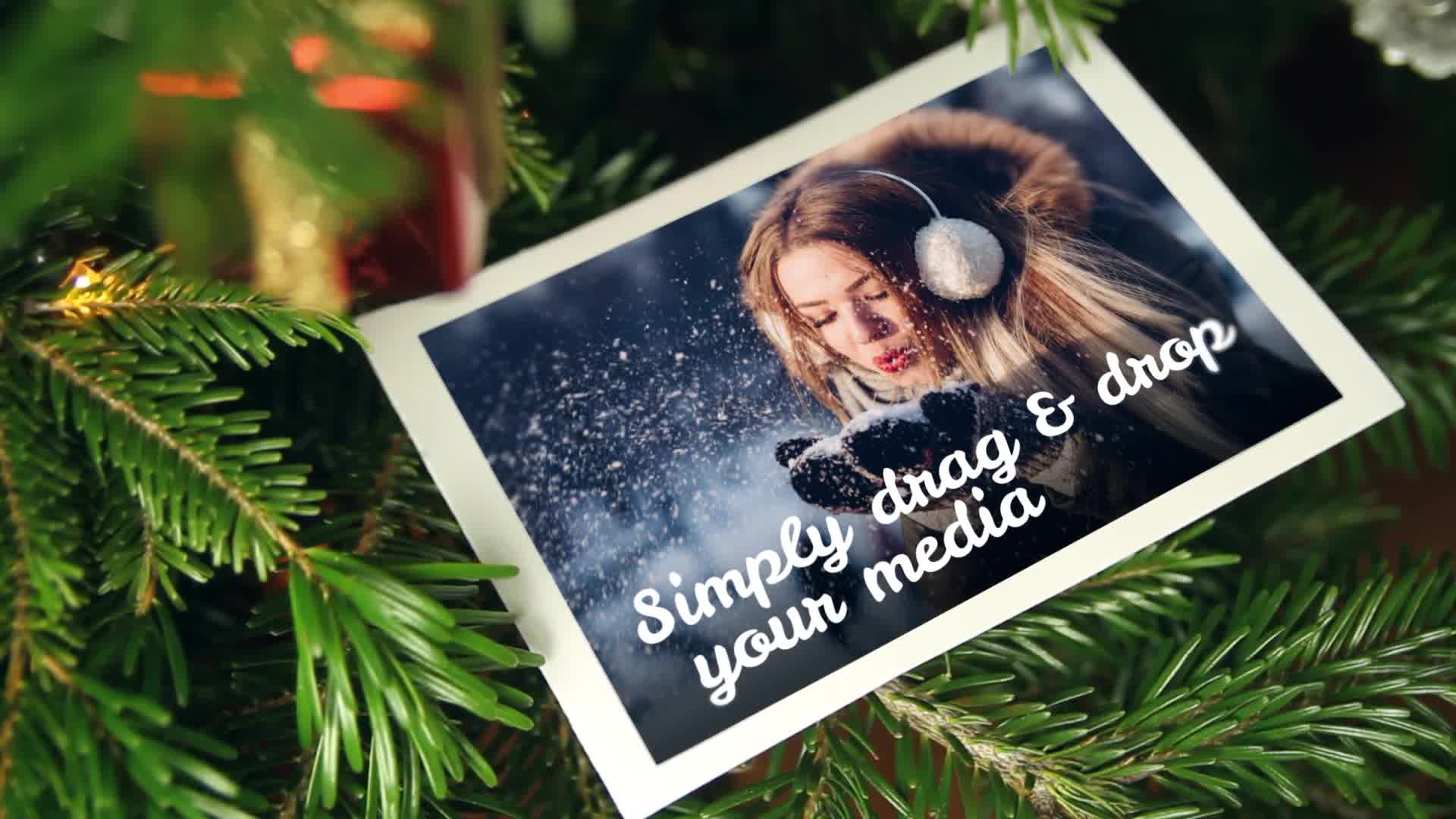 Christmas Tree Placeholders Videohive 23019039 After Effects Image 9