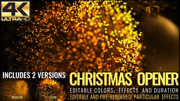 Christmas - Videohive Download 18846379