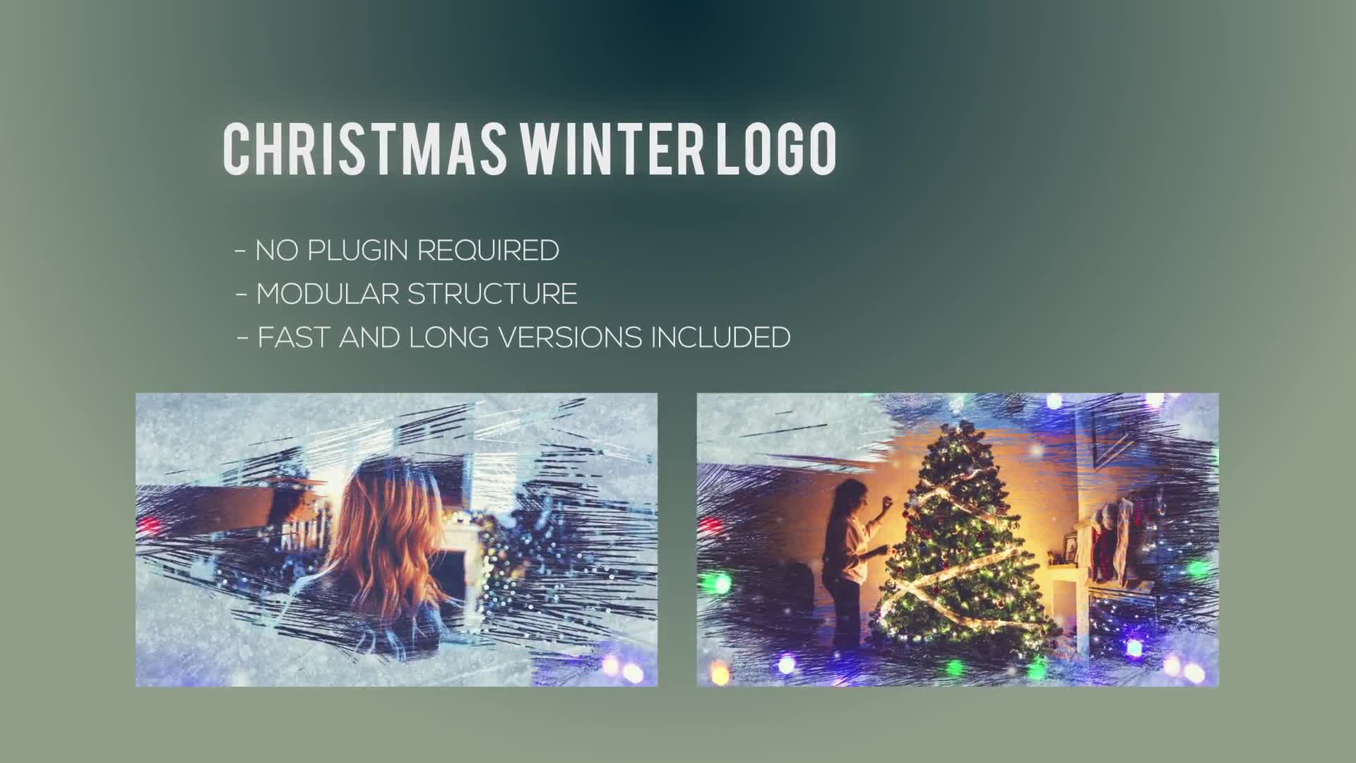 Christmas Winter Logo - Download Videohive 22847584