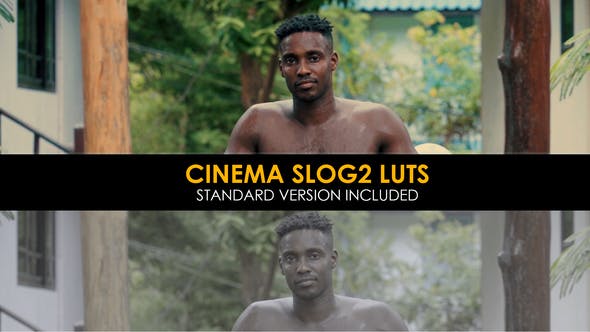 Cinema Slog2 And Standard LUTs - Download 39803658 Videohive