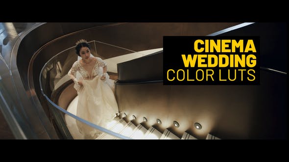 Cinema Wedding LUTs - Videohive Download 39235554