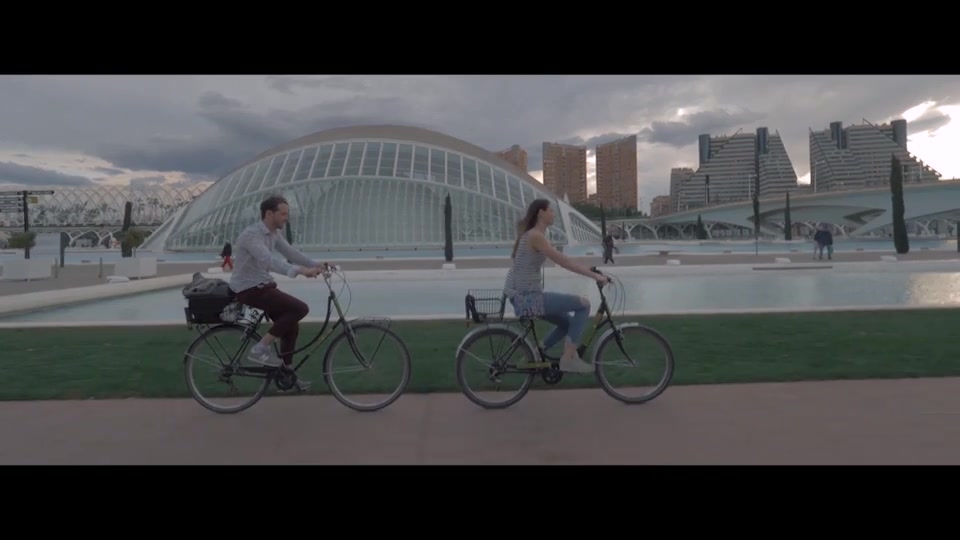 Cinematic HLG2 and Standard Luts Videohive 39828646 DaVinci Resolve Image 3