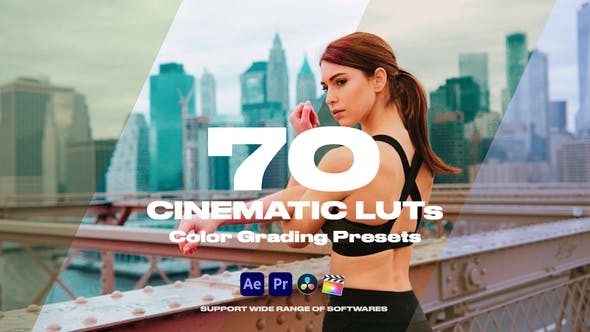 Cinematic LUTs Vol.1 - Download Videohive 35150050