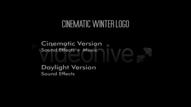 Cinematic Winter Logo - Download Videohive 3539261