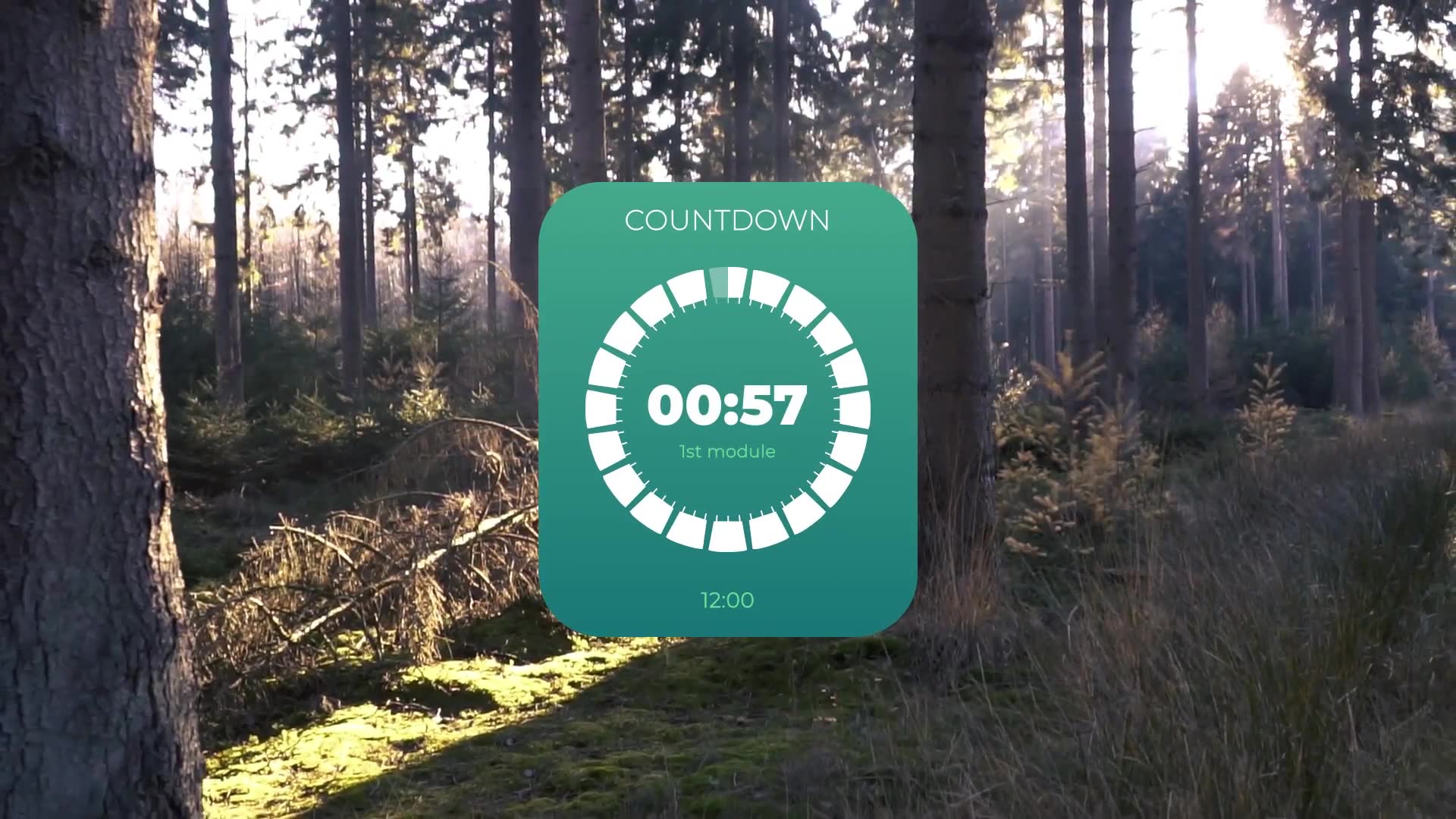 Circle Countdown Timers I Videohive 39054626 After Effects Image 3