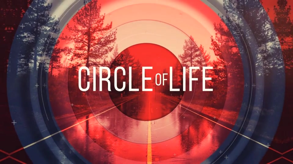 Circle Of Life Videohive 20921866 After Effects Image 12