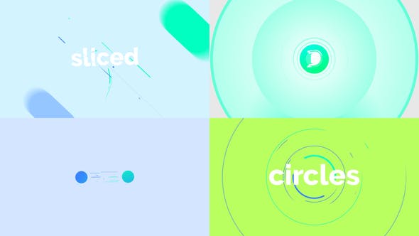 Circle Slice Logo Reveal - Download Videohive 28450013
