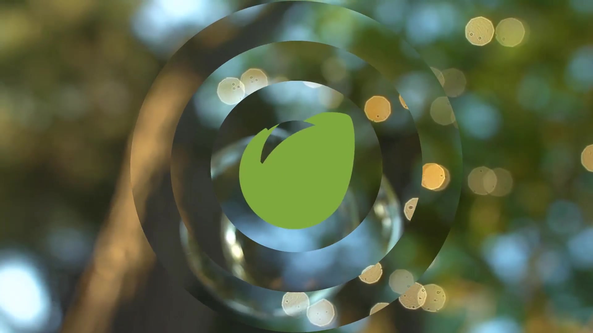 Circles Logo Reveal Videohive 11840910 After Effects Image 10