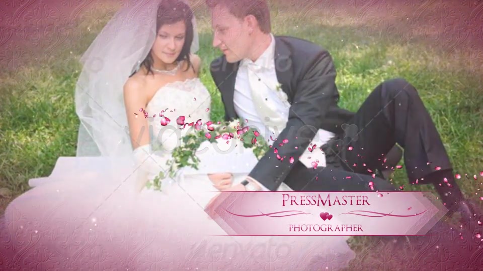 Classy Wedding Pack - Download Videohive 4754076