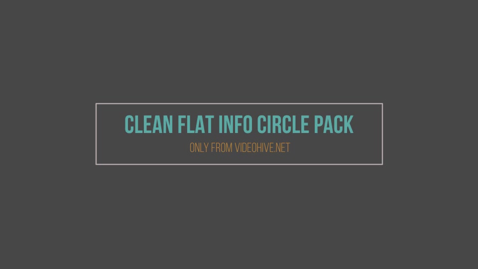Clean Flat Info Circle Pack Videohive 14937807 After Effects Image 13
