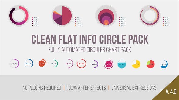 Clean Flat Info Circle Pack - Videohive 14937807 Download