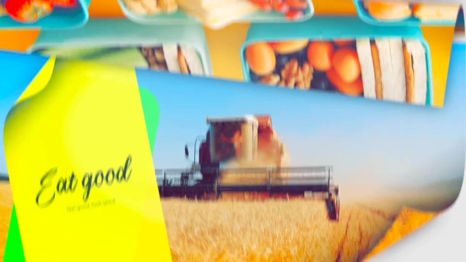 Clean Food Promo Videohive 34433372 Apple Motion Image 8