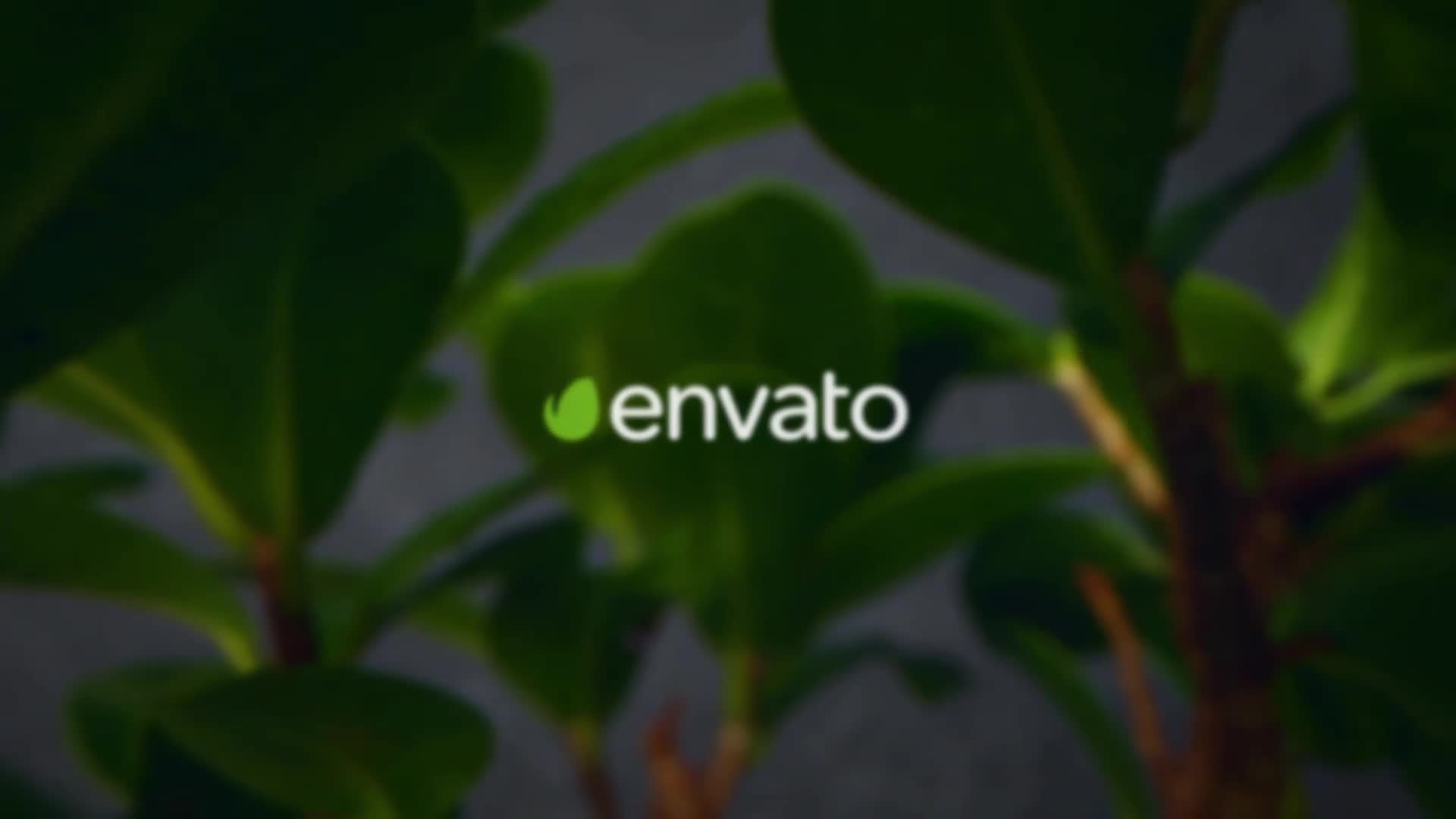 Clean Green Logo Videohive 27818973 After Effects Image 1