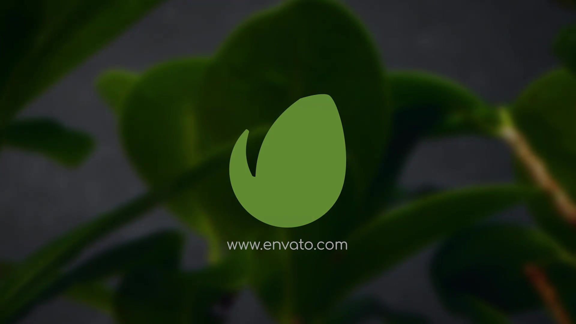 Clean Green Logo Videohive 27818973 After Effects Image 10