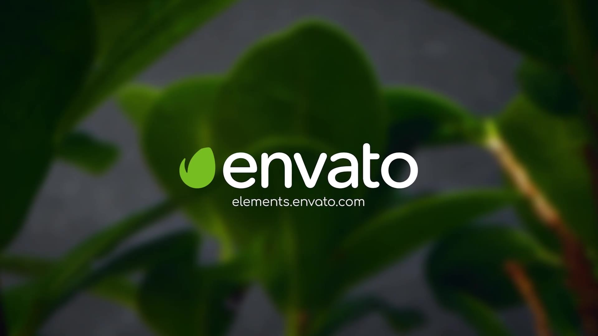 Clean Green Logo Videohive 27818973 After Effects Image 2