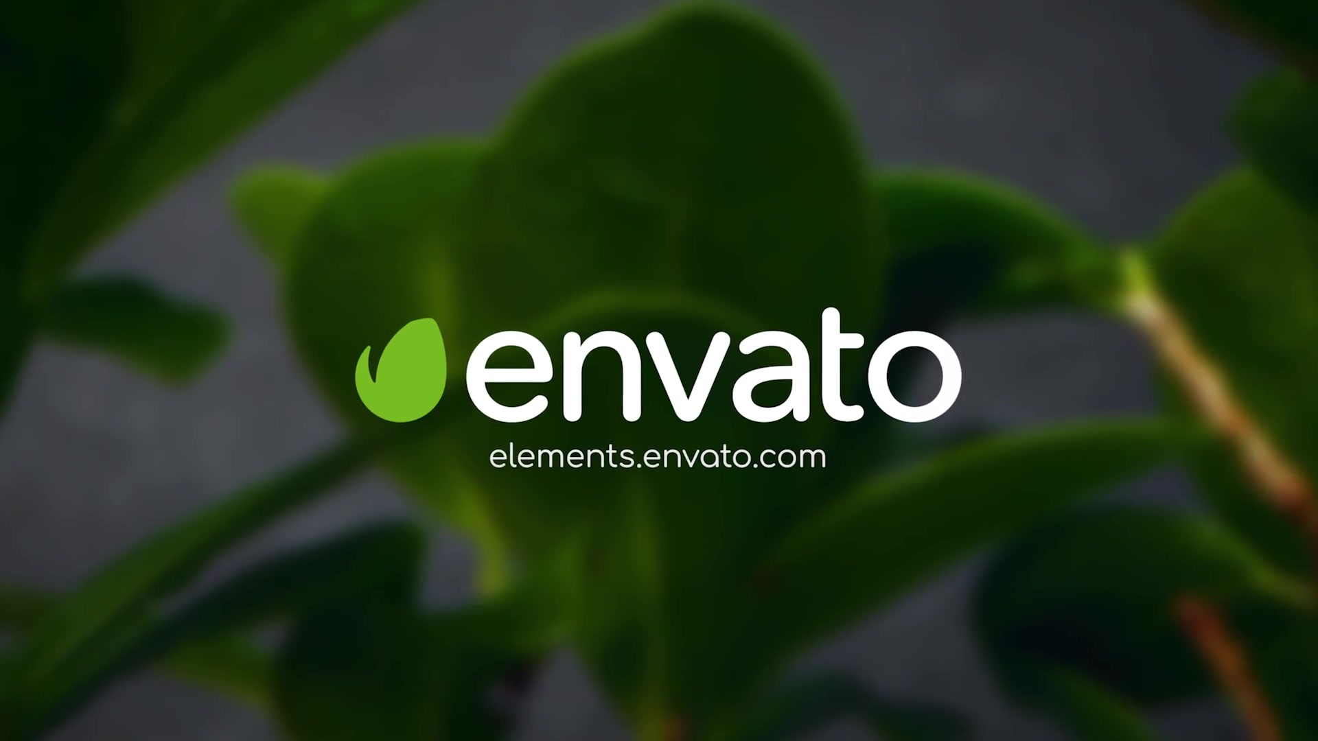 Clean Green Logo Videohive 27818973 After Effects Image 3