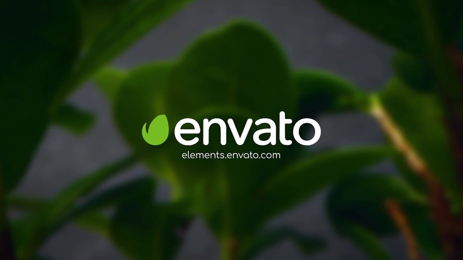 Clean Green Logo Videohive 27818973 After Effects Image 5