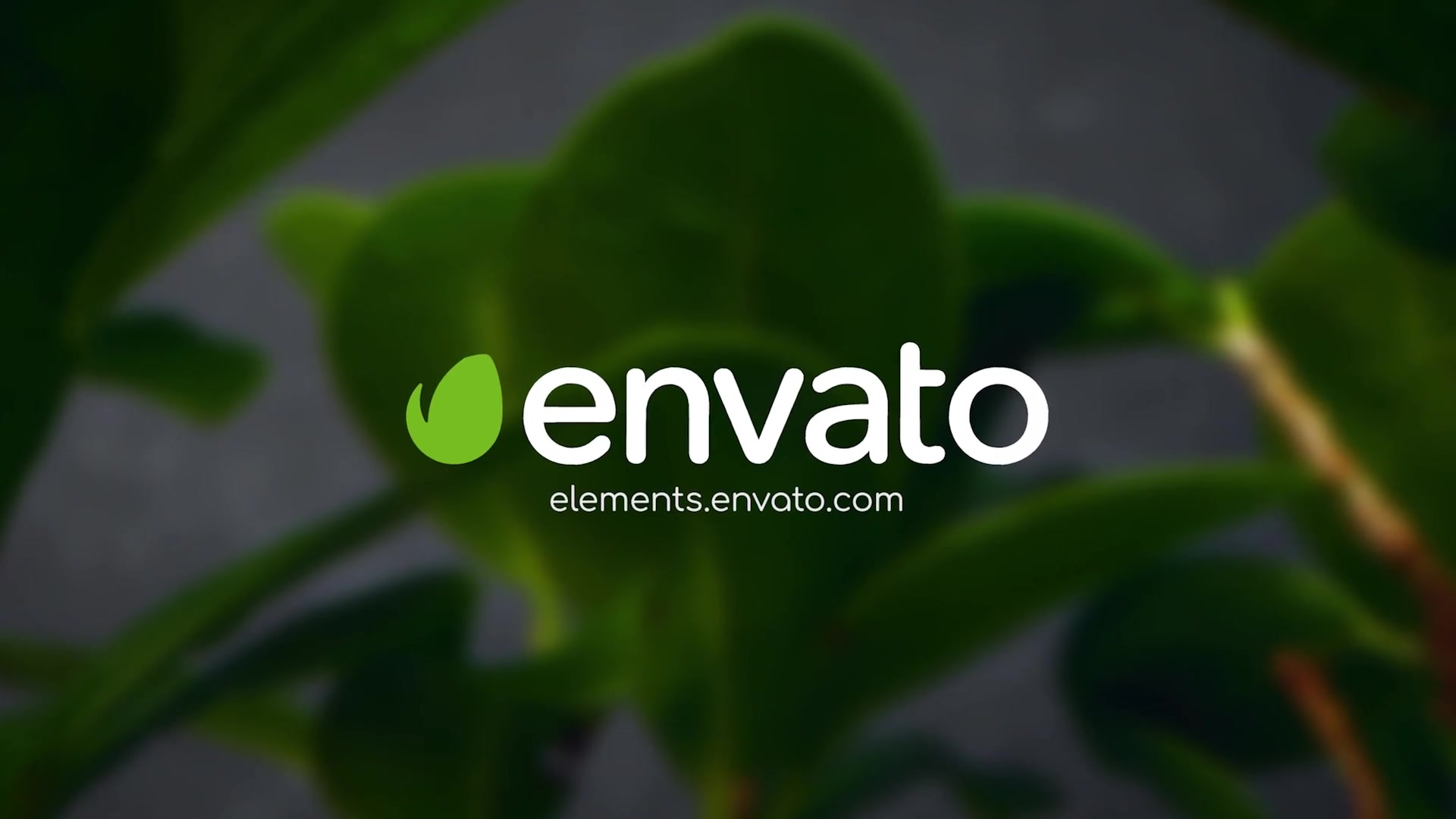 Clean Green Logo Videohive 27818973 After Effects Image 6