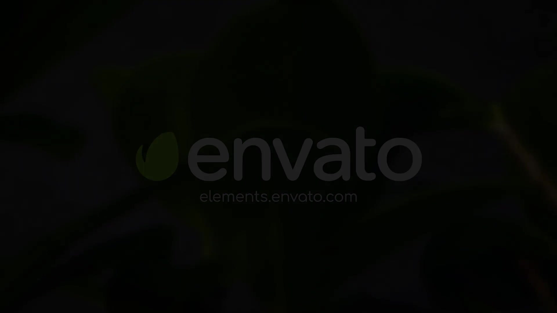 Clean Green Logo Videohive 27818973 After Effects Image 7