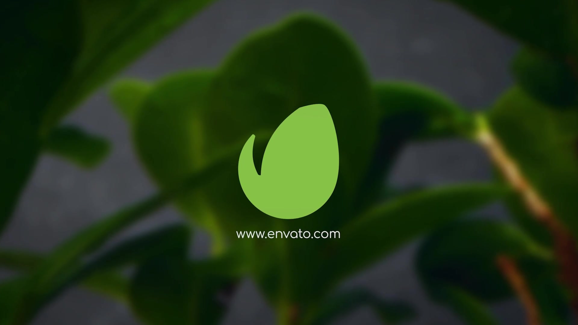 Clean Green Logo Videohive 27818973 After Effects Image 9