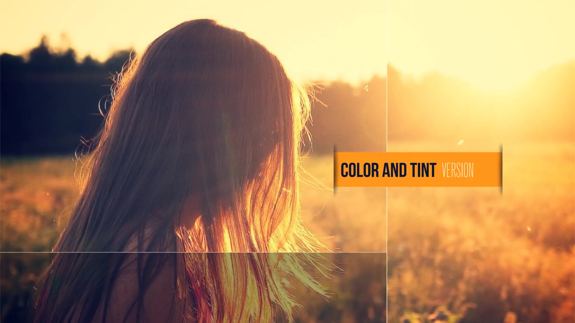 Clean Photography Promo - Download Videohive 6552029
