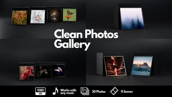 Clean Photos Gallery - 30077883 Download Videohive