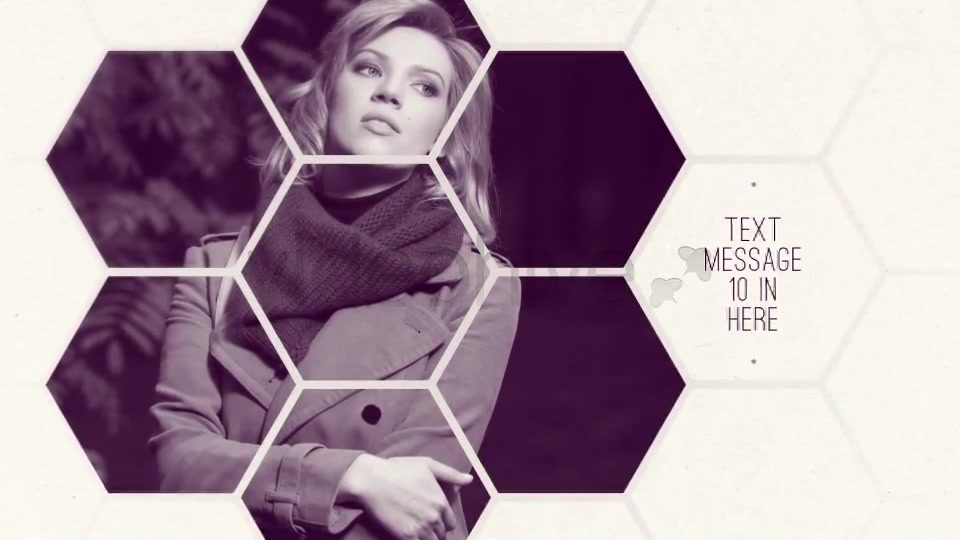 Clean White Hexagon Presentation - Download Videohive 5159679