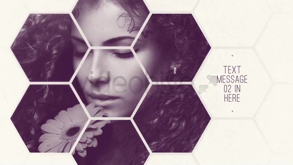 Clean White Hexagon Presentation - Download Videohive 5159679